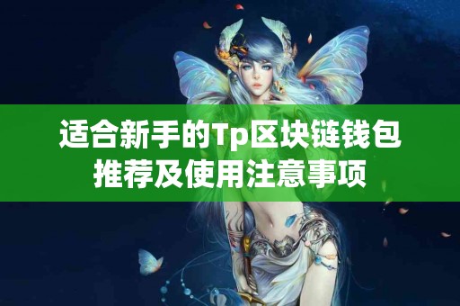 适合新手的Tp区块链钱包推荐及使用注意事项