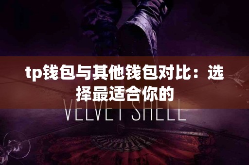 tp钱包与其他钱包对比：选择最适合你的