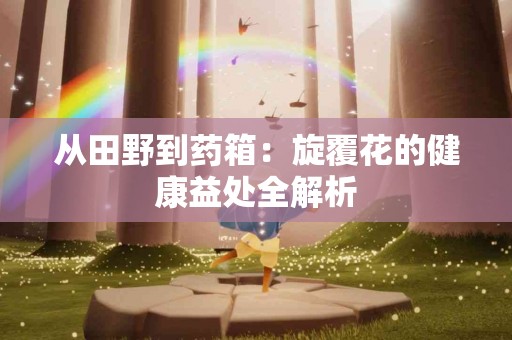 从田野到药箱：旋覆花的健康益处全解析