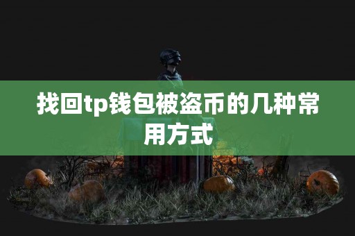 找回tp钱包被盗币的几种常用方式