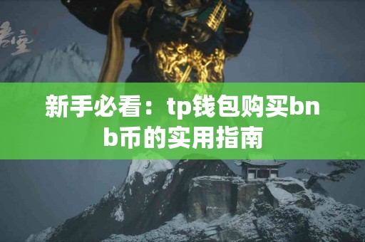 新手必看：tp钱包购买bnb币的实用指南
