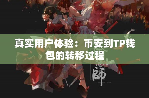 真实用户体验：币安到TP钱包的转移过程