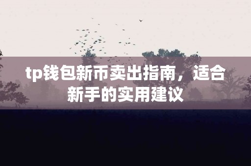 tp钱包新币卖出指南，适合新手的实用建议