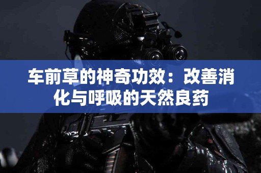 车前草的神奇功效：改善消化与呼吸的天然良药