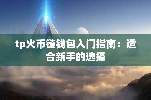 tp火币链钱包入门指南：适合新手的选择