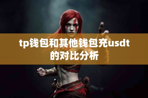 tp钱包和其他钱包充usdt的对比分析