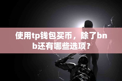 使用tp钱包买币，除了bnb还有哪些选项？