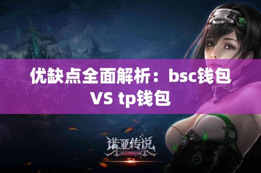 优缺点全面解析：bsc钱包VS tp钱包