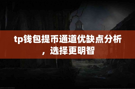 tp钱包提币通道优缺点分析，选择更明智
