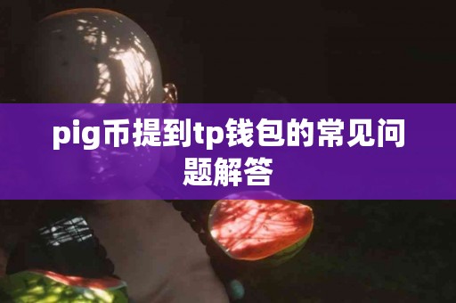 pig币提到tp钱包的常见问题解答