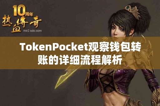 TokenPocket观察钱包转账的详细流程解析