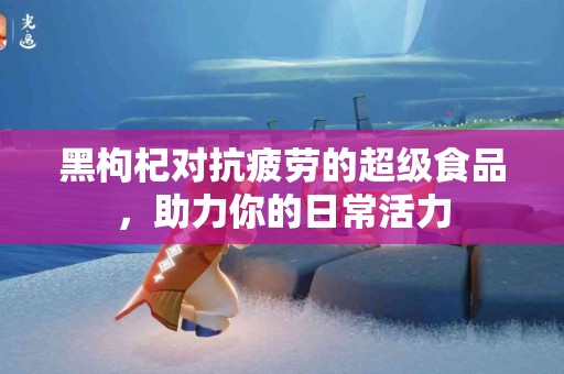 黑枸杞对抗疲劳的超级食品，助力你的日常活力