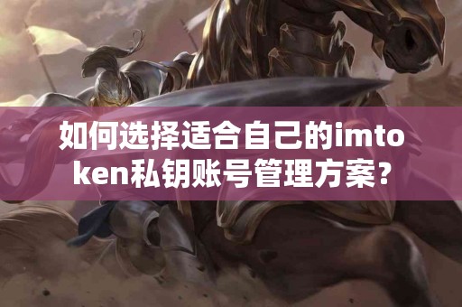 如何选择适合自己的imtoken私钥账号管理方案？