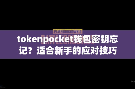 tokenpocket钱包密钥忘记？适合新手的应对技巧