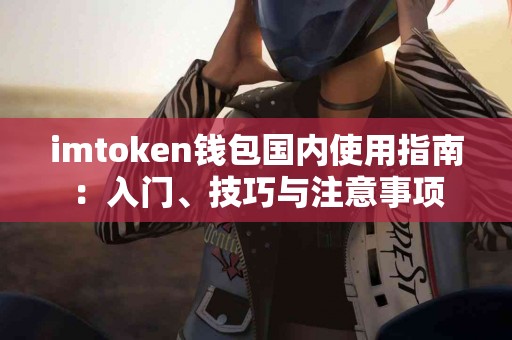 imtoken钱包国内使用指南：入门、技巧与注意事项
