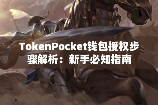 TokenPocket钱包授权步骤解析：新手必知指南