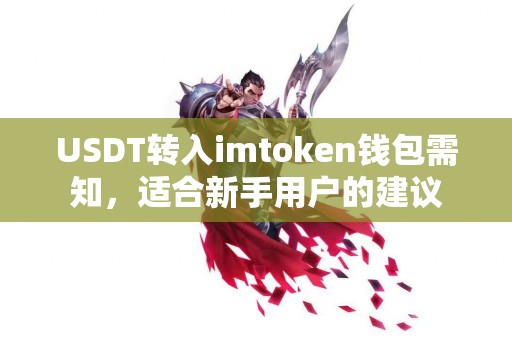 USDT转入imtoken钱包需知，适合新手用户的建议