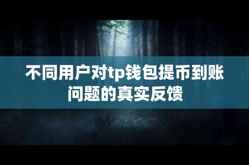 不同用户对tp钱包提币到账问题的真实反馈