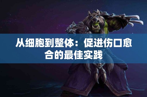 从细胞到整体：促进伤口愈合的最佳实践