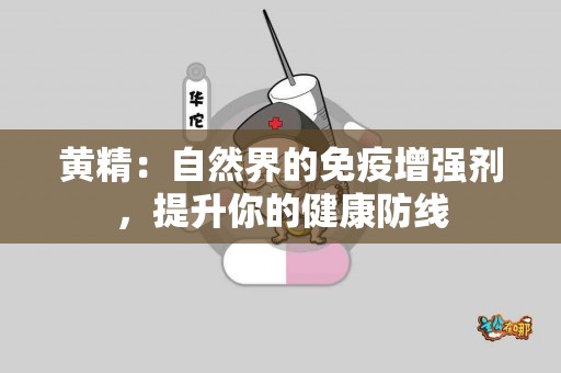 黄精：自然界的免疫增强剂，提升你的健康防线