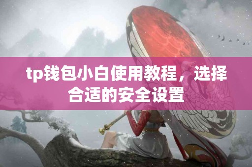 tp钱包小白使用教程，选择合适的安全设置
