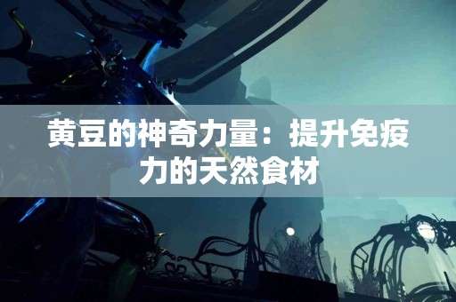 黄豆的神奇力量：提升免疫力的天然食材