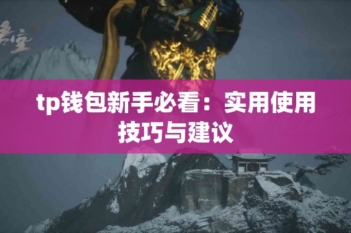tp钱包新手必看：实用使用技巧与建议