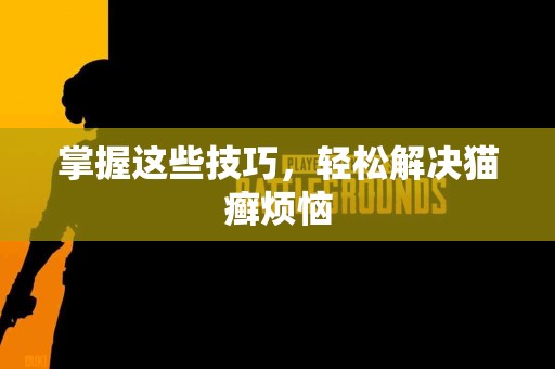 掌握这些技巧，轻松解决猫癣烦恼