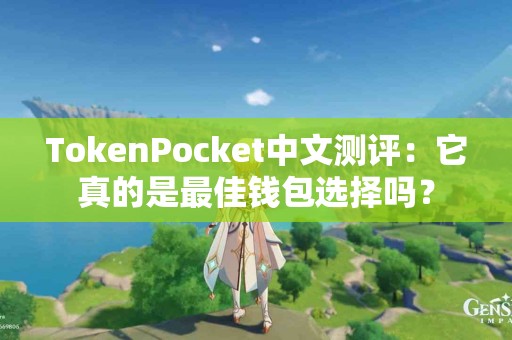 TokenPocket中文测评：它真的是最佳钱包选择吗？