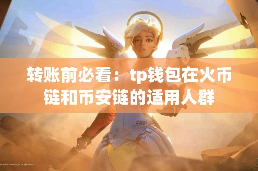 转账前必看：tp钱包在火币链和币安链的适用人群