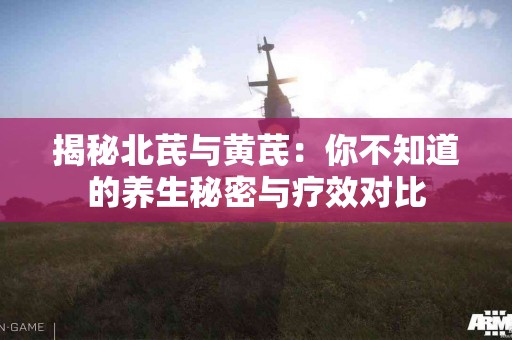 揭秘北芪与黄芪：你不知道的养生秘密与疗效对比