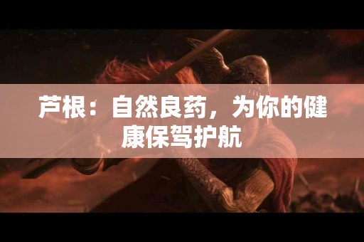 芦根：自然良药，为你的健康保驾护航