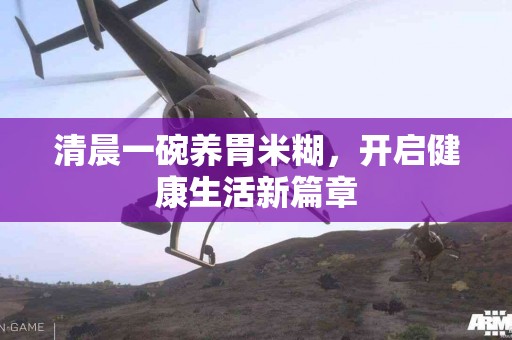 清晨一碗养胃米糊，开启健康生活新篇章