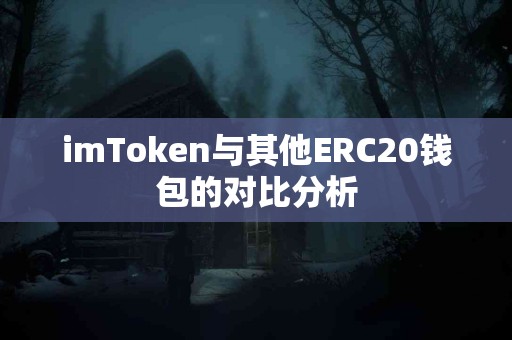 imToken与其他ERC20钱包的对比分析
