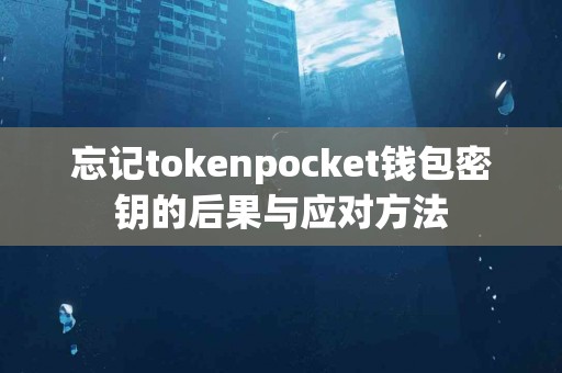 忘记tokenpocket钱包密钥的后果与应对方法