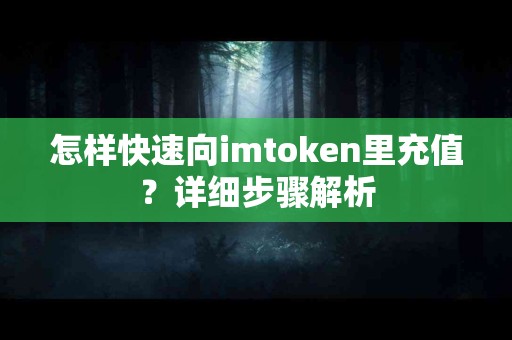 怎样快速向imtoken里充值？详细步骤解析
