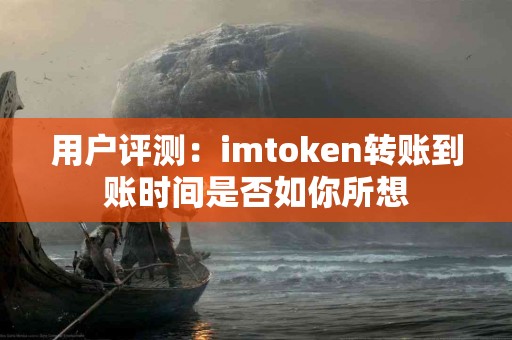 用户评测：imtoken转账到账时间是否如你所想