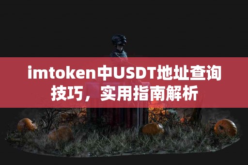 imtoken中USDT地址查询技巧，实用指南解析