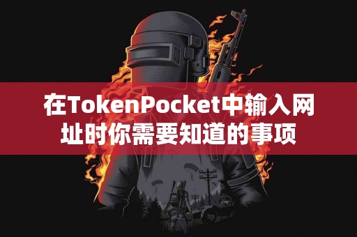 在TokenPocket中输入网址时你需要知道的事项