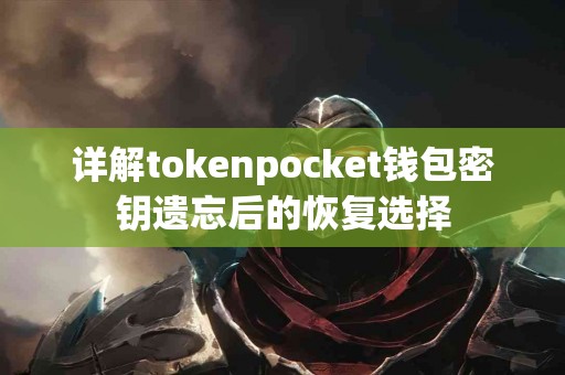 详解tokenpocket钱包密钥遗忘后的恢复选择
