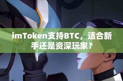 imToken支持BTC，适合新手还是资深玩家？