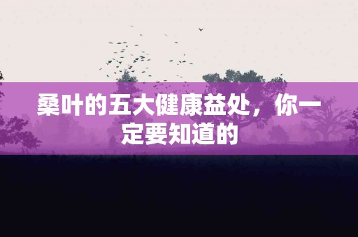 桑叶的五大健康益处，你一定要知道的