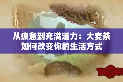 从疲惫到充满活力：大麦茶如何改变你的生活方式