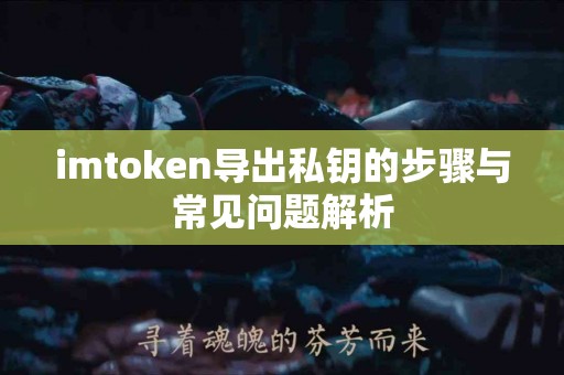 imtoken导出私钥的步骤与常见问题解析