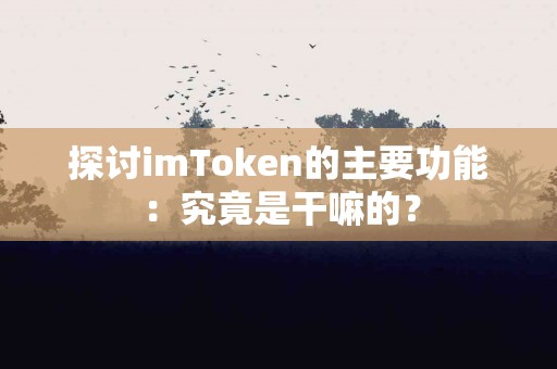 探讨imToken的主要功能：究竟是干嘛的？