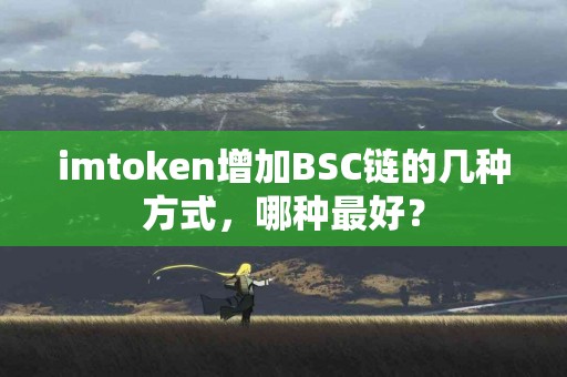 imtoken增加BSC链的几种方式，哪种最好？