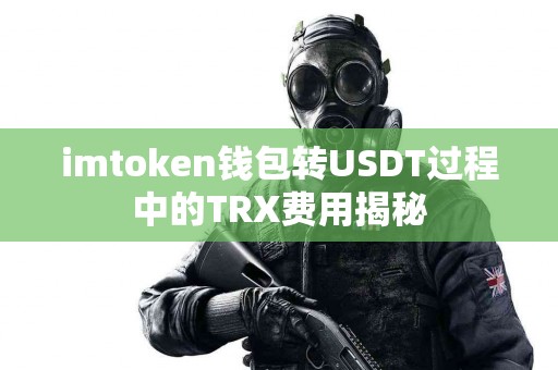 imtoken钱包转USDT过程中的TRX费用揭秘