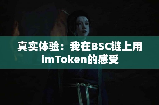 真实体验：我在BSC链上用imToken的感受