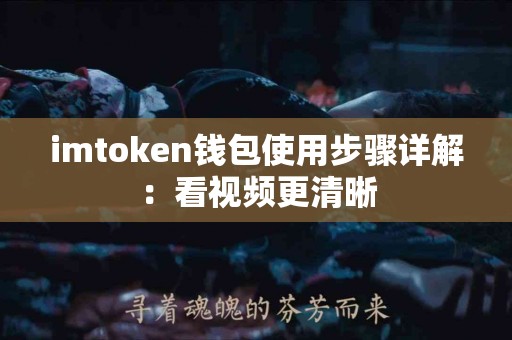 imtoken钱包使用步骤详解：看视频更清晰