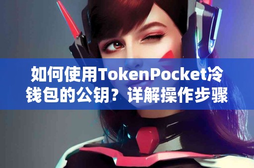 如何使用TokenPocket冷钱包的公钥？详解操作步骤
